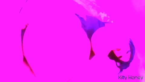 She's going to be aown broads losersed details