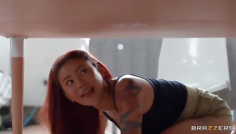 Shemal membership interioria